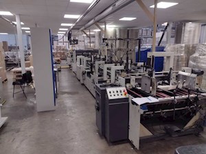 Bobst DOMINO 110-II
